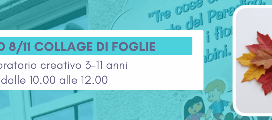 SABATO 8/11